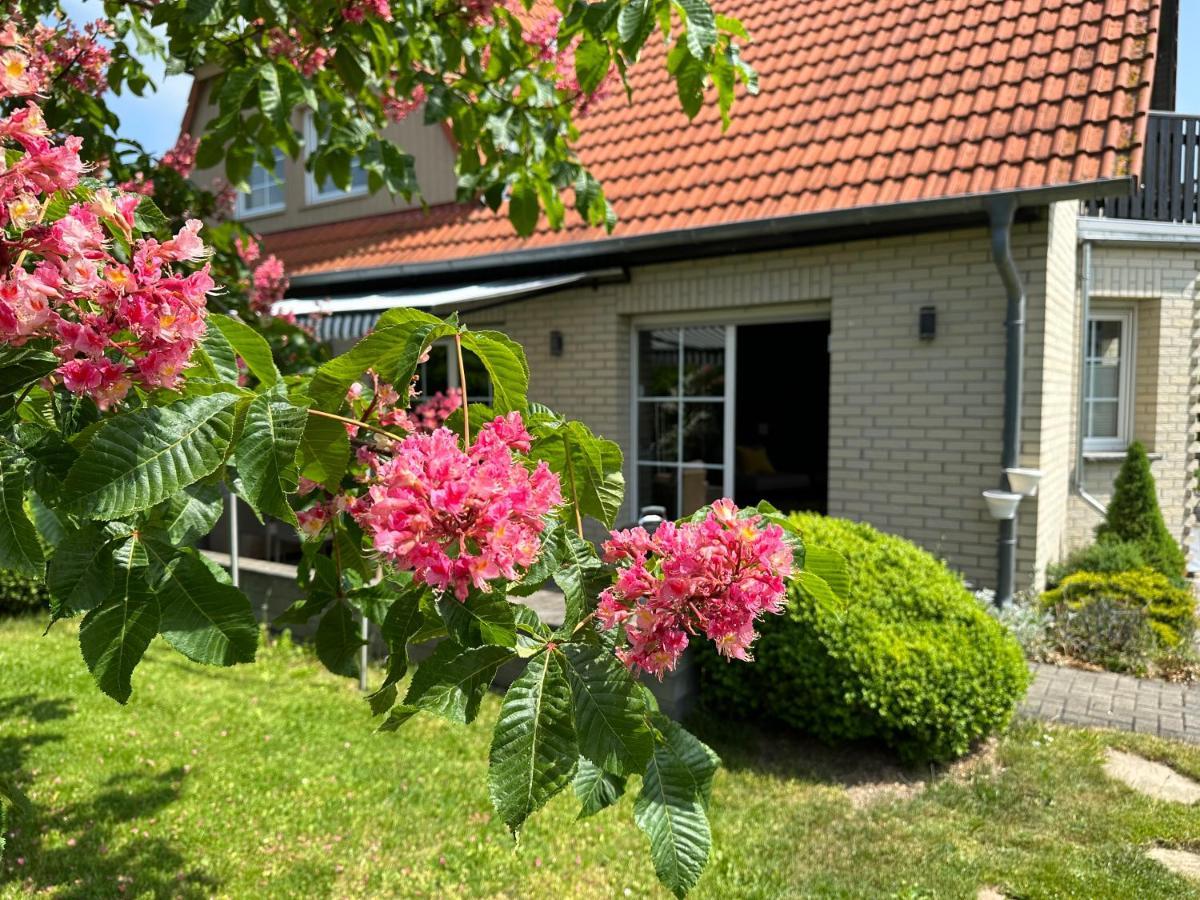 베르니게로데 Familienurlaub Im Gruenen 아파트 외부 사진